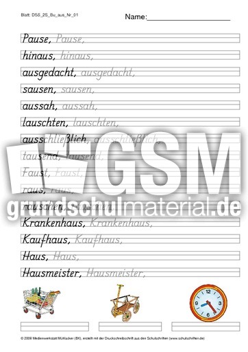 DSS_2S_Bu_aus_Nr_01.pdf